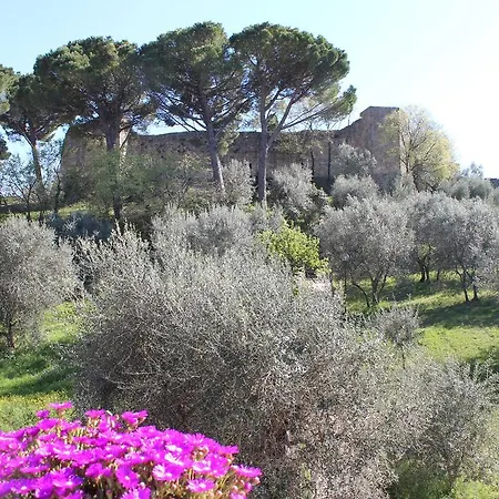 Locanda La Mandragola