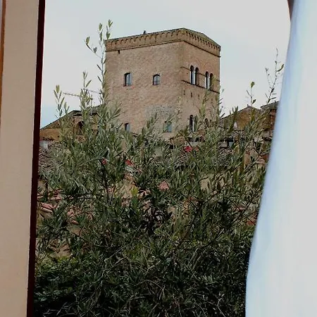 La Mandragola 2*
