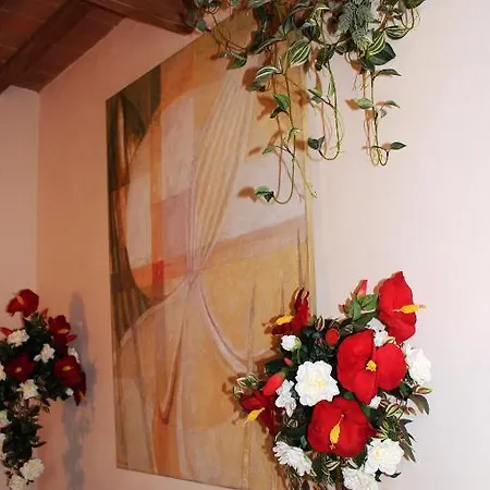 Bed & Breakfast La Mandragola 2*